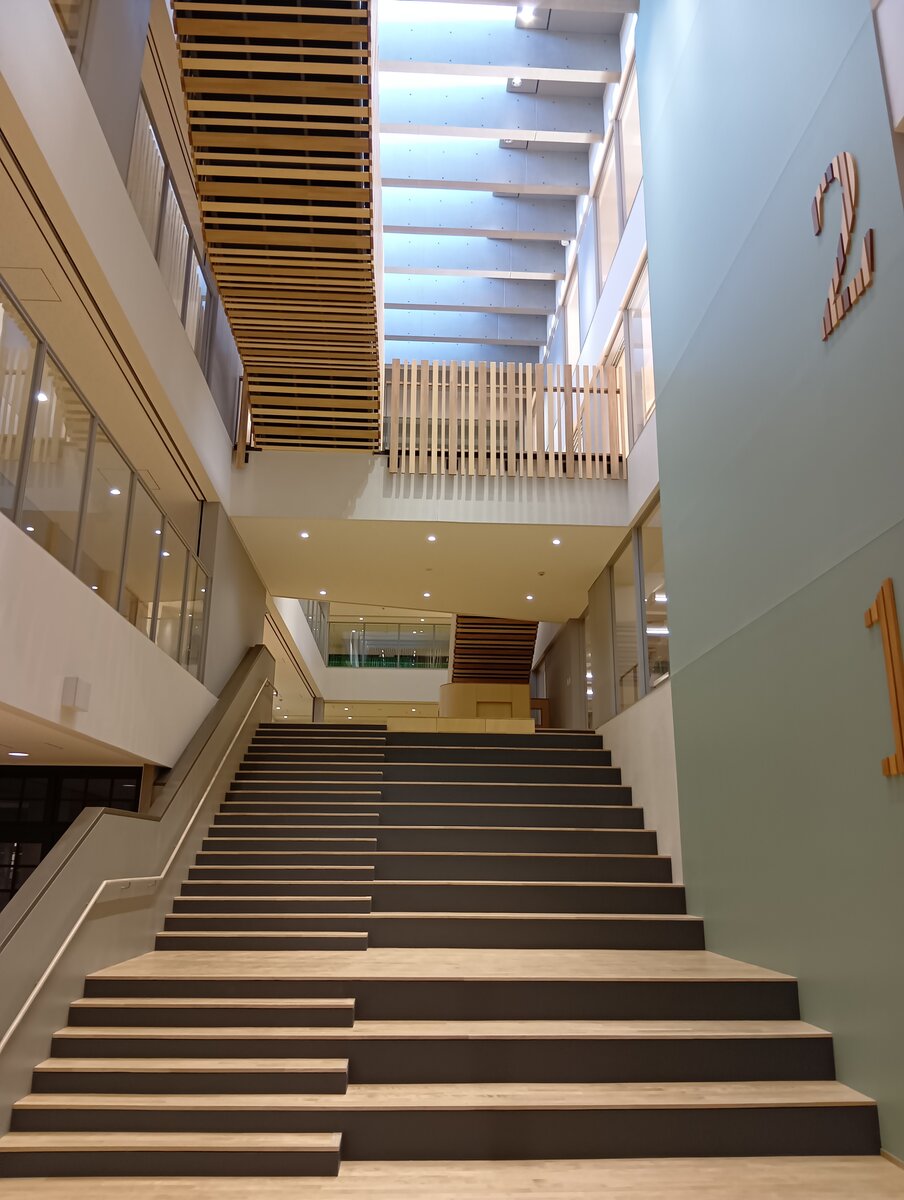 文京区立明化小学校等改築工事 Ⅱ期 写真2